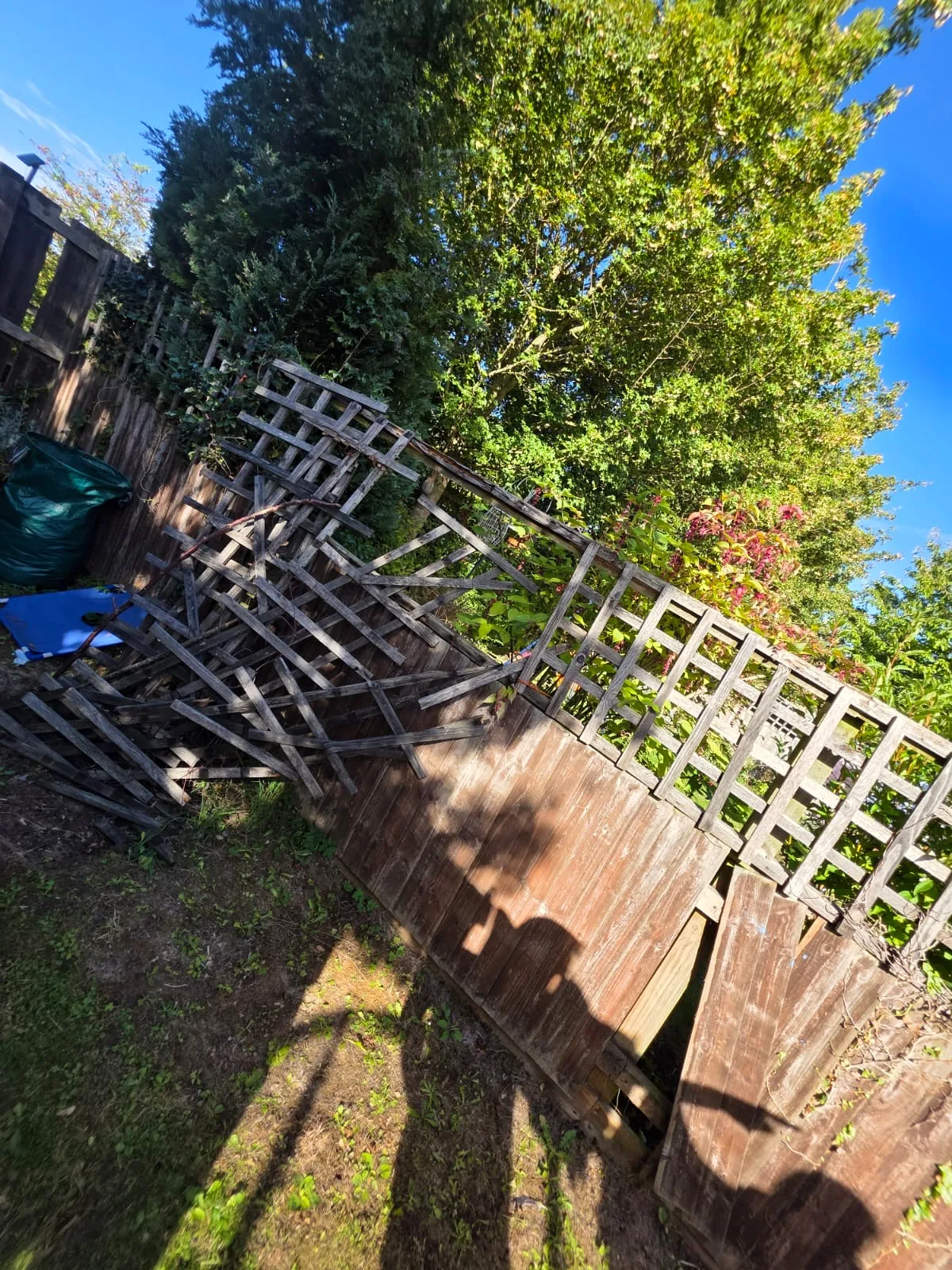 Damaged timber and trellis garden boundary before replacement