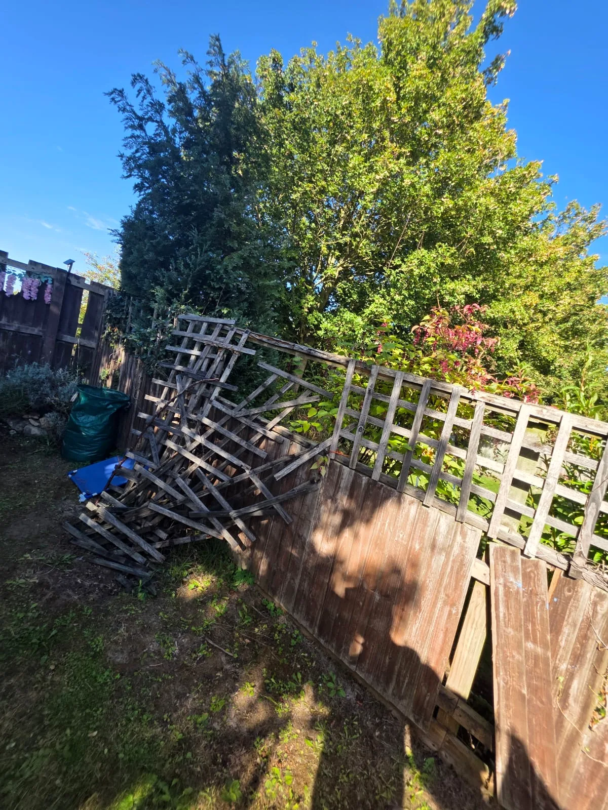 Damaged trellis section before the new garden fence was fitted