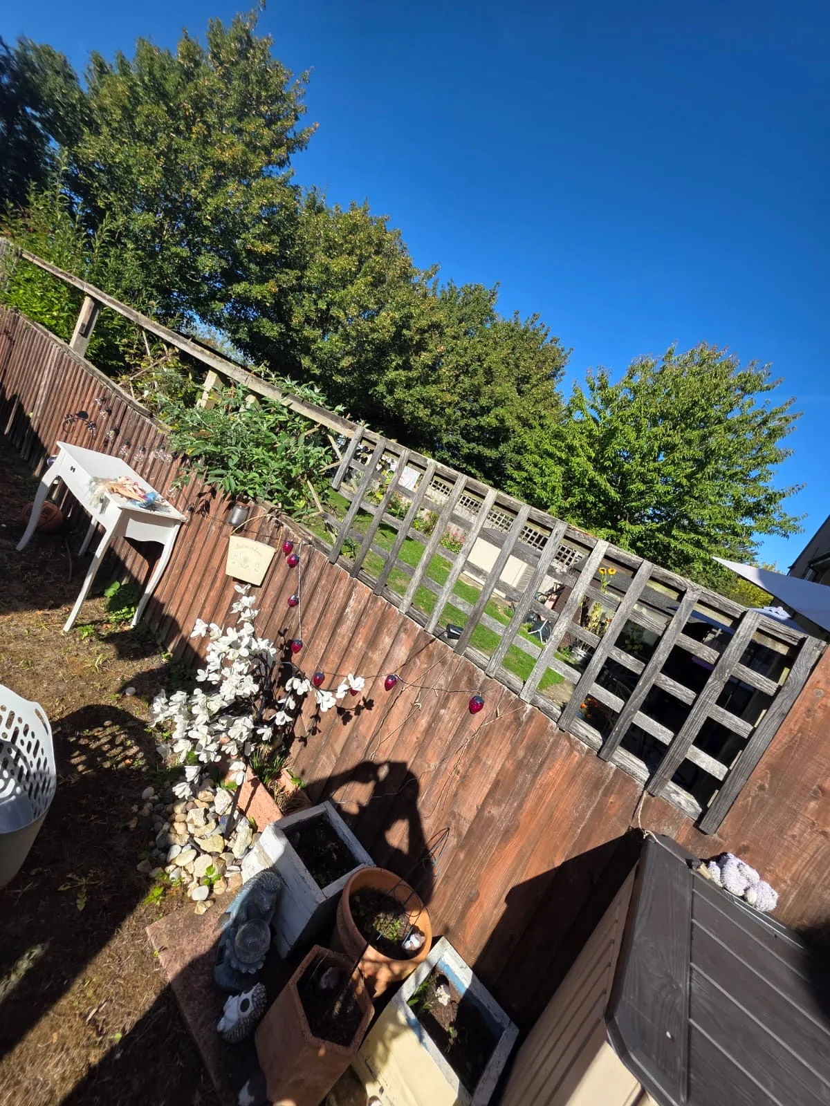 Existing trellis and timber boundary before replacement