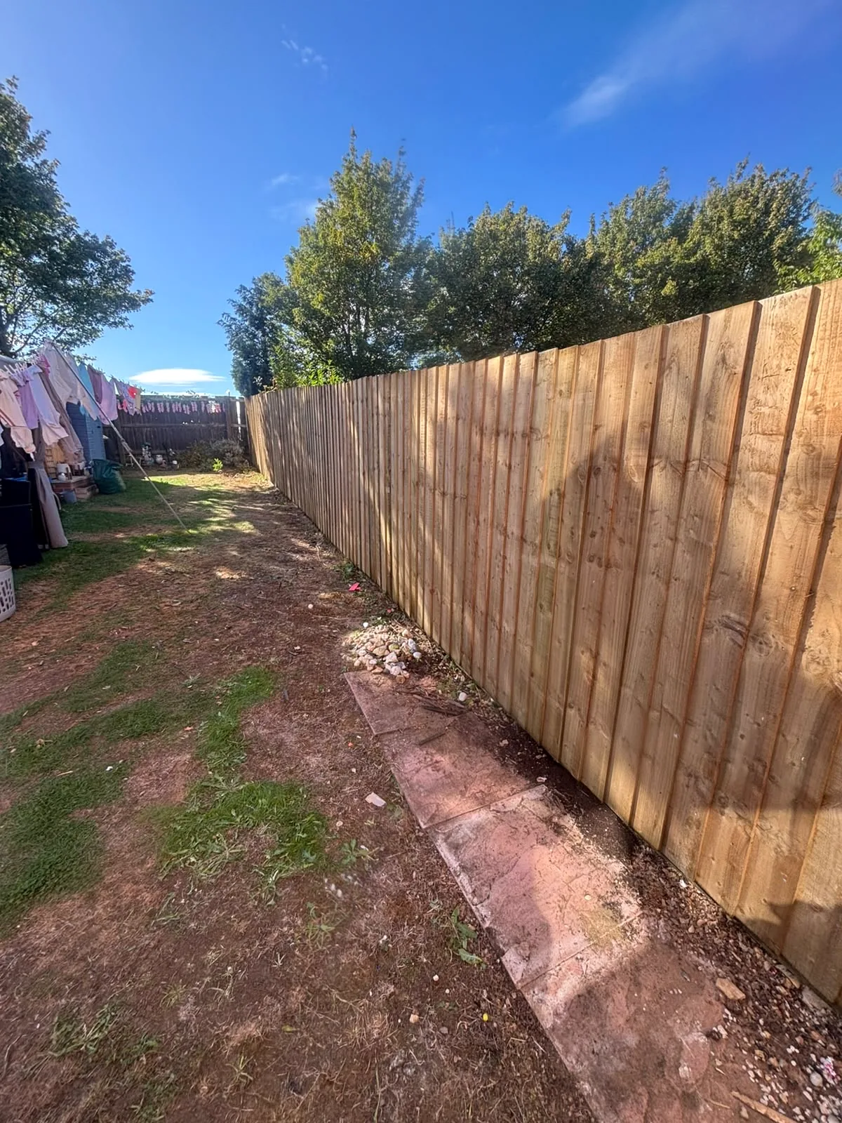 Completed vertical-board timber fence viewed along the garden