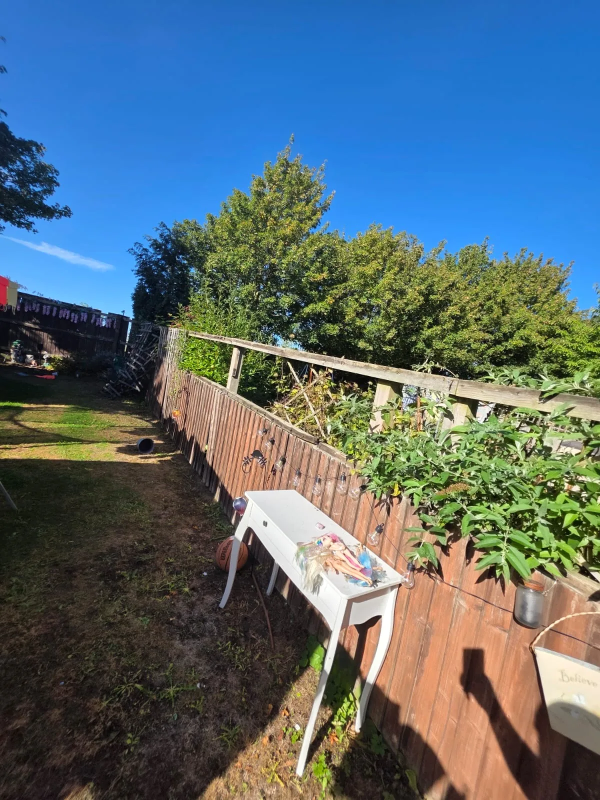 Existing timber garden boundary before replacement
