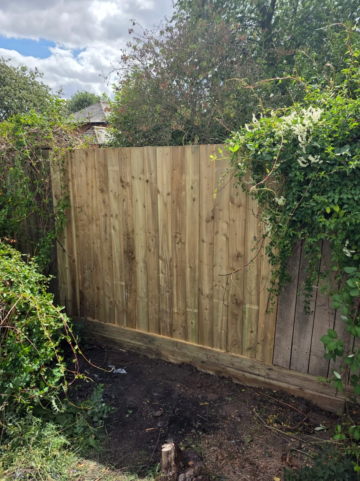 Completed vertical-board timber fence within an established garden boundary
